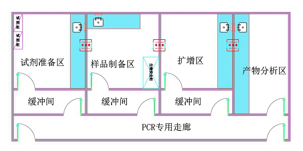 开展新型冠状病毒检测的能力的实验室