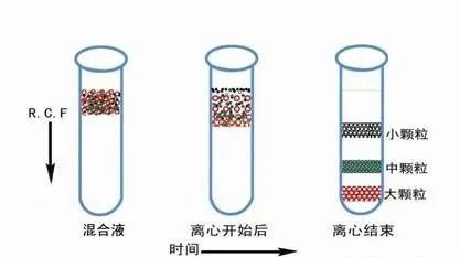 密度梯度离心法.jpg